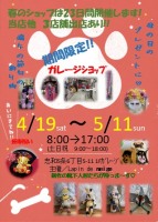 画像投稿者: Lapin de neige