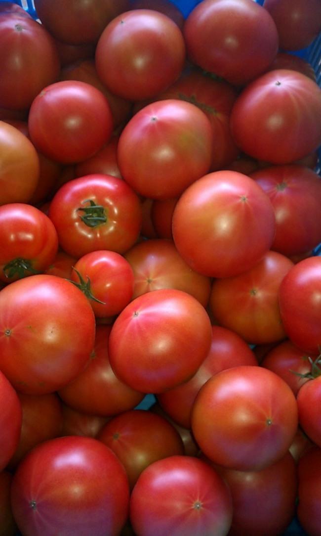 食べたらクセになります！酸味と旨味がいいバランス!!