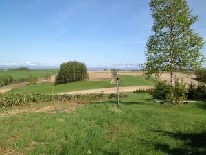 ランドカフェ周りのお楽しみ！