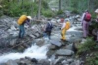 慎重に小川を渡る