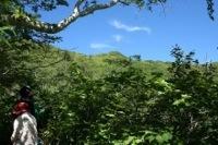 登るにつれて景色が変わってくる