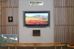 ハイビジョン映像