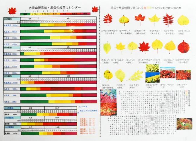 紅葉カレンダー