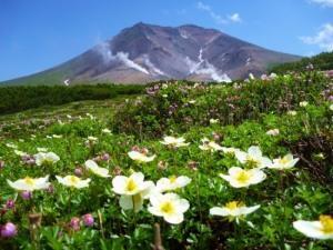 大雪山国立公園：旭岳姿見の池園地1周ご案内