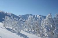 見えてきた富良野岳