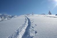 新雪に一筋の足跡