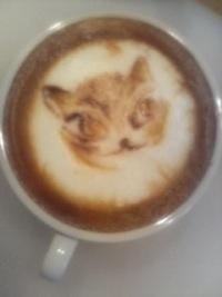 ワチフィールド　「ダヤン」