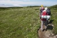 化雲平のお花畑