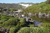 天然の日本庭園