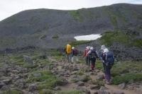 ロックガーデンに向けて