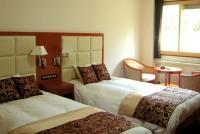 森のラージツイン