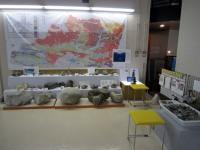 手で触れる岩石・化石