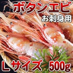 子持ちぼたんエビ　大サイズ　500g 卵入りでプリッとしてとろけるようなぼたんえび!