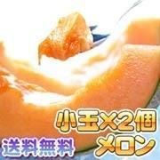 赤肉メロン　2玉で合計2.2～2.6kg(小玉サイズ)