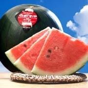 当麻町産　デンスケスイカ