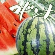 富良野産　マドンナすいか
