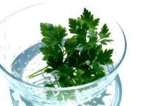 ハーブはじめてレッスン