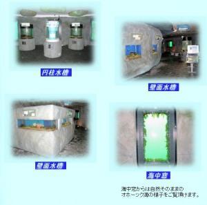 【B1階】アクアゲイト（海中展望フロア）