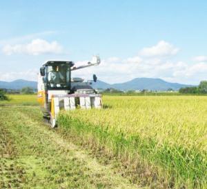 2013年新米ゆめぴりかいよいよ販売開始いたしました！