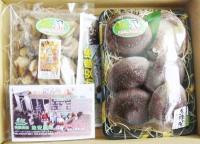  【ＭＡＸジャンボしいたけ】生椎茸+乾燥椎茸　各1個入り