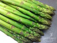 グリーンアスパラ（江部乙）