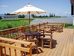 人気のカフェテラス席は、雄大な景色のごちそう付きです