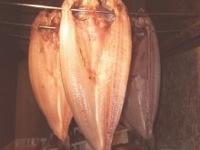 自家製開きほっけ