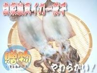 自家製いか一夜干し