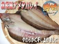 自家製ナメタガレイ一夜干し