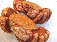 浜ゆで非冷凍毛がに