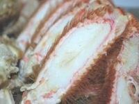 浜ゆで非冷凍毛がに