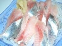 生イワシ刺身