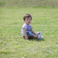 ■  「草原写真館」公園フォト