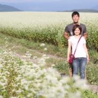  ■「草原写真館」美瑛の丘フォト