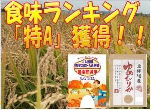 北海道米の代表格銘柄をセットで!