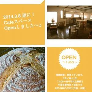 自家製天然酵母の優しく丁寧な手捏ねパン