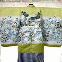 5歳羽織袴　若草色（ライトグリーン）