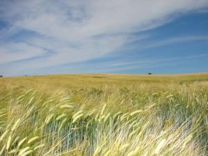 ●取扱期間 平成26年6月14日~8月10日迄