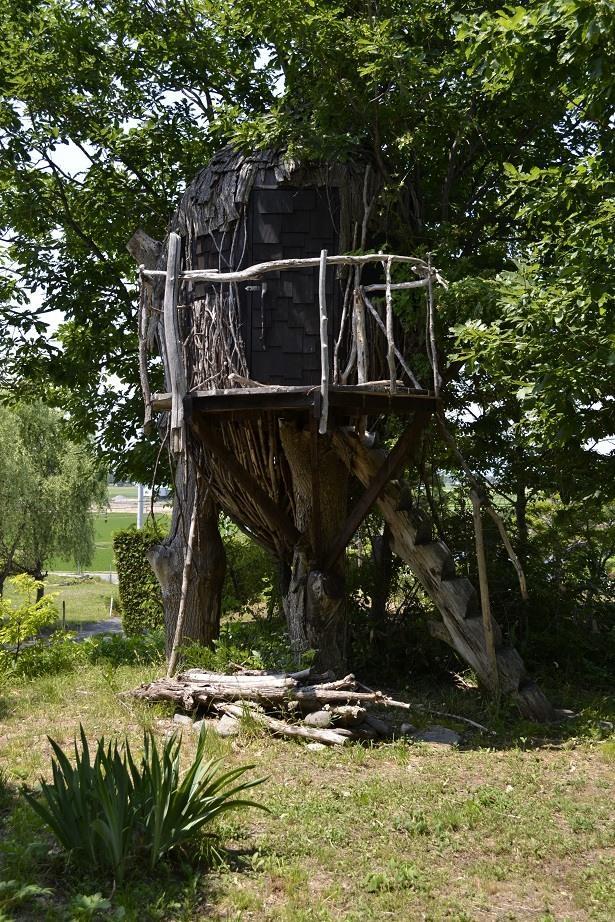 ツリーハウス