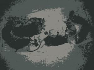 旭川のねずみ駆除業者