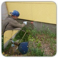旭川のアリ駆除業者、ワラジムシ駆除