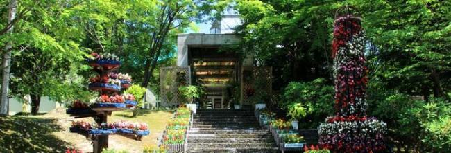 緑のセンター正面入口 