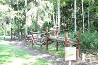 冒険広場（フィールドアスレチック）