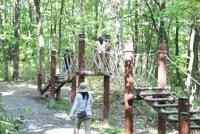 冒険広場（フィールドアスレチック）