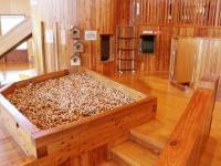 木の玉のプール