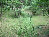 ホタルのせせらぎ