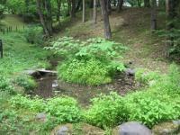 ホタルのせせらぎ