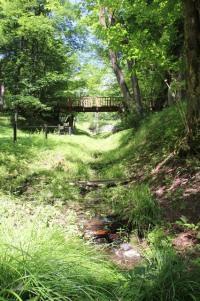 ホタルのせせらぎ