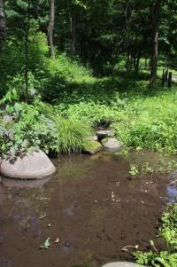 ホタルのせせらぎ