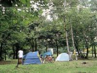 テントサイト